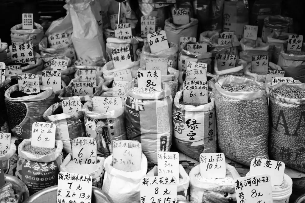 郑州工业企业环保设备选型指南：居之蓝环保技术解析