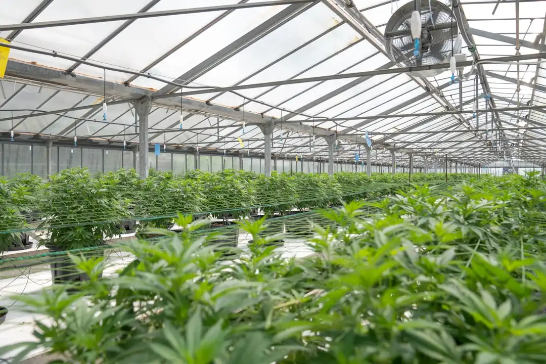 郑州市工业企业环保设备选型对比:居之蓝除尘与脱硫技术方案分析