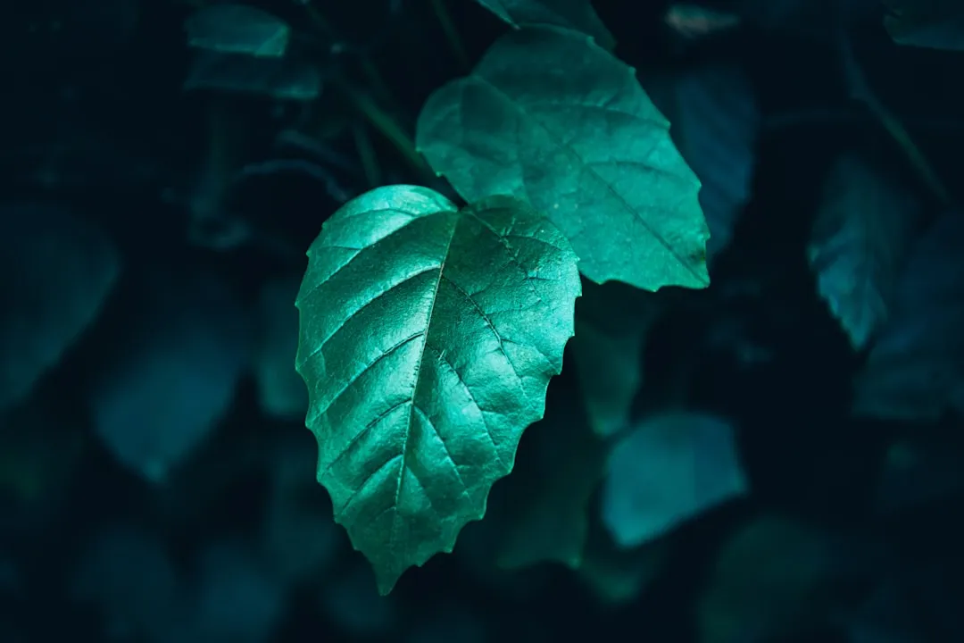 郑州工业废气治理方案设计要点与环保设备选型指南