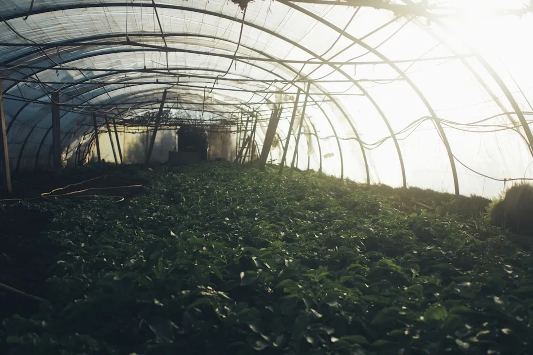 郑州工业企业环保设备选型要点与常见误区分析